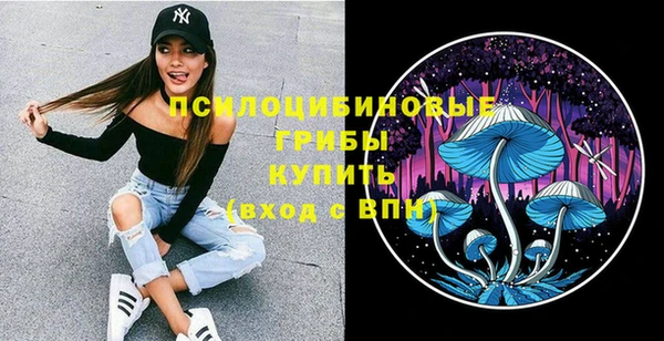 скорость Бородино
