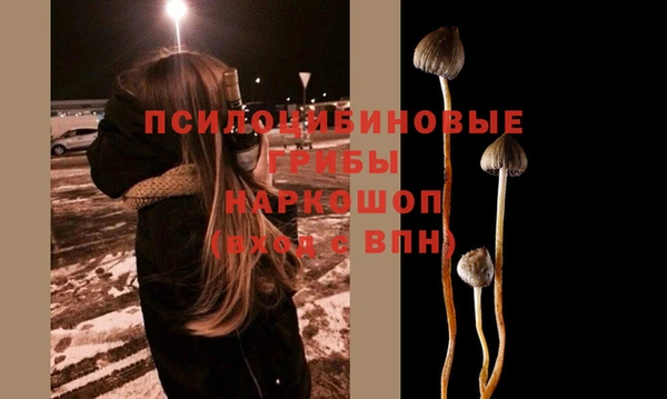 мефедрон Богородицк